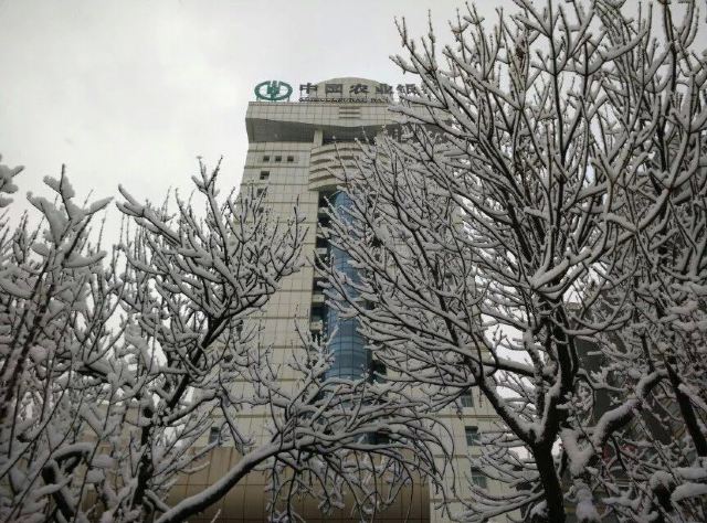 People's Park