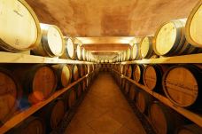 源石酒庄-银川-AIian