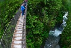 林恩峡谷公园-北温哥华-Hello_Yuanzi