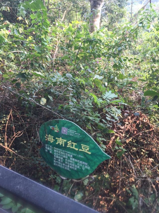 Yanoda Rainforest Cultural Tourism Zone