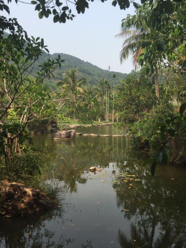 Yanoda Rainforest Cultural Tourism Zone