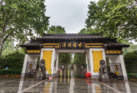 杭埠镇旅游图片-江南之首，中原之喉，合肥逍遥1日游