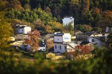 塔川-黟县-doris圈圈