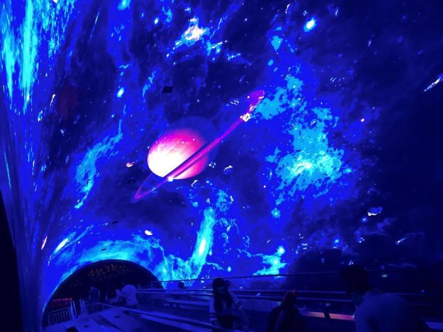 Grandview Aquarium