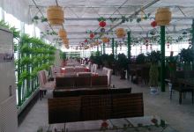 尼勒克县阳光岛生态餐厅美食图片