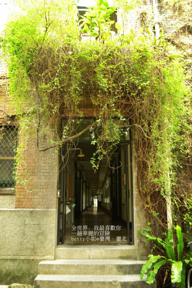Taiwan University