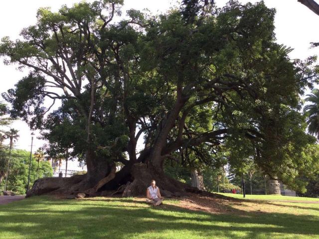 The University of Auckland