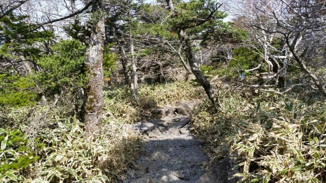 한라산 국립공원