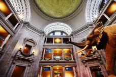 史密森博物馆-华盛顿-doris圈圈