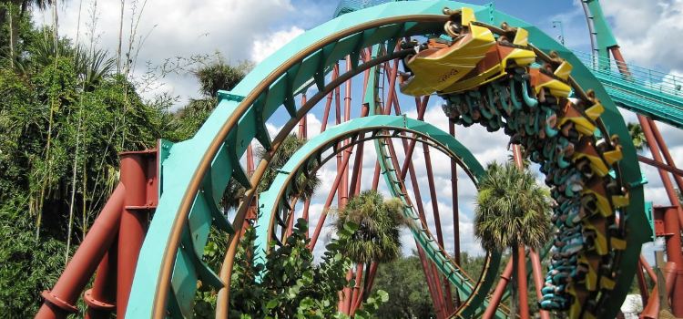 Busch Gardens Tampa Bay Travel Guidebook Must Visit Attractions