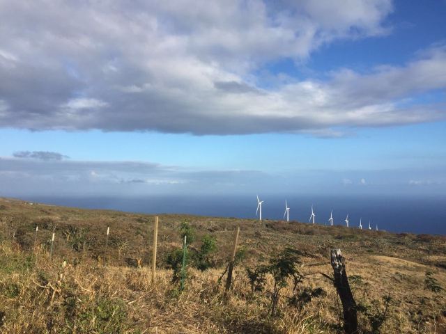 Maui