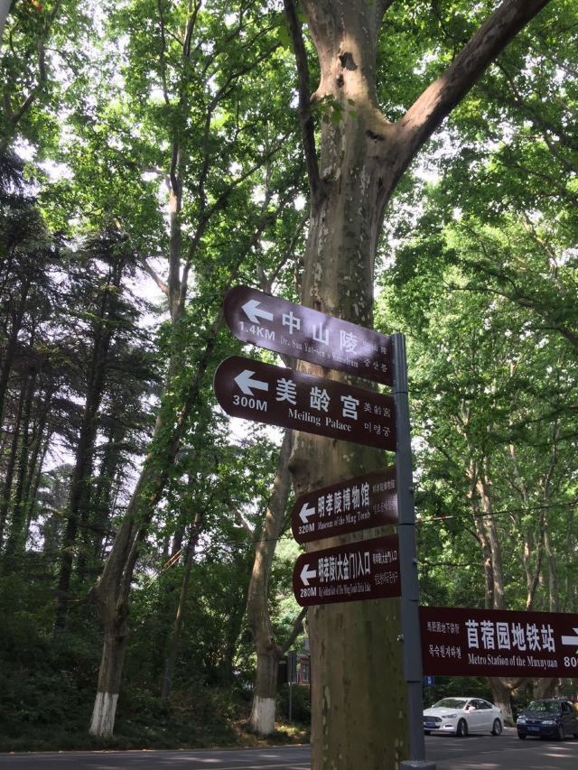 中山陵園風景區