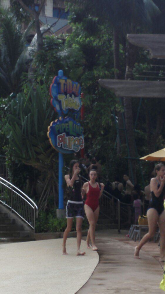 Adventure Cove Waterpark