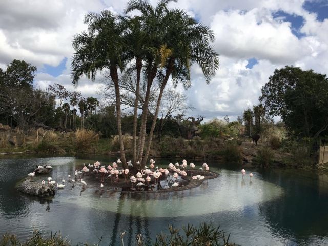 Walt Disney World