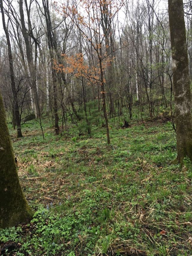 Mojie (Devil) Scenic Area