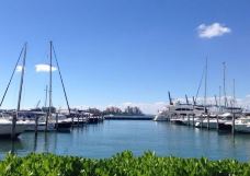 南角公园码头-迈阿密海滩-湖绿紫
