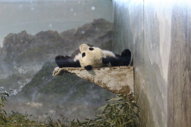 國家動物園