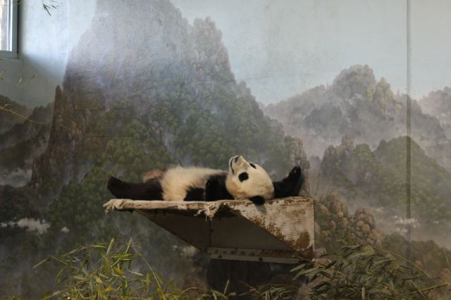 國家動物園