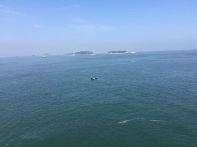 다샤아오(대사오)