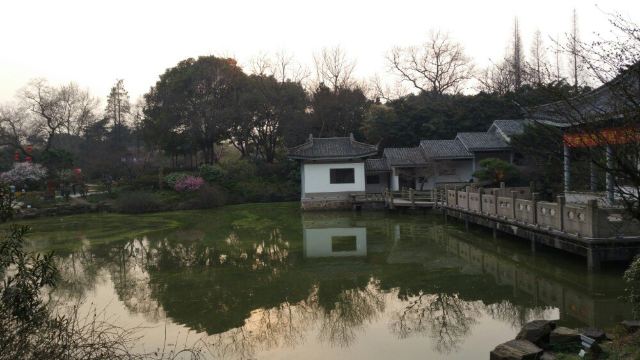 매원