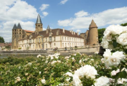 Basilica of Paray-le-Monial景点图片