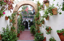 El Caballo Rojo餐厅图片
