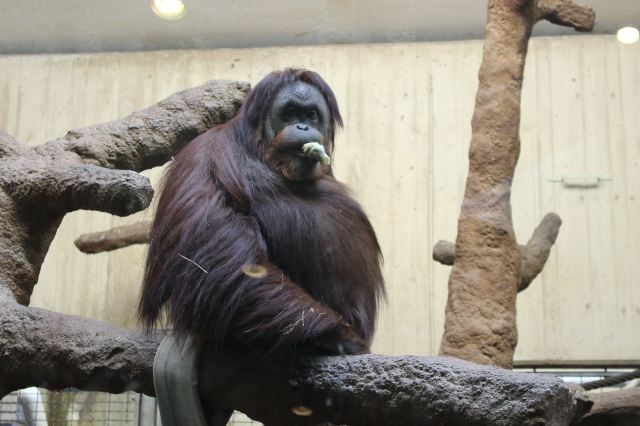 國家動物園