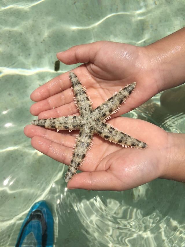 Virgin Island