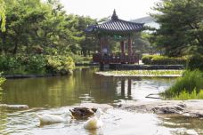 汝矣岛汉江公园-首尔-doris圈圈