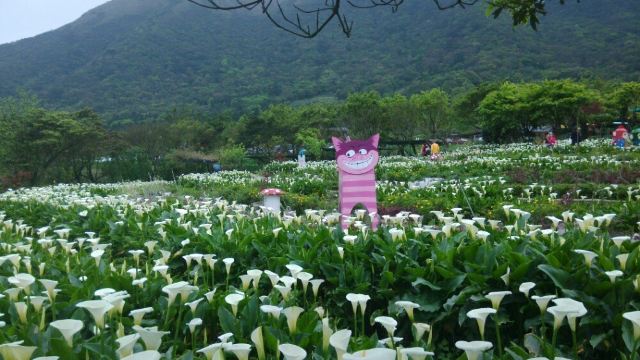 양명산 국립공원