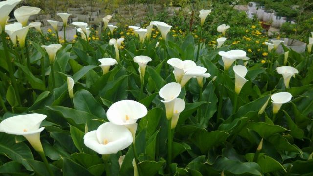 양명산 국립공원