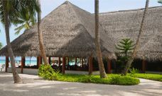 菲哈后岛-菲哈后岛-YoYo_8I6P1V2Q