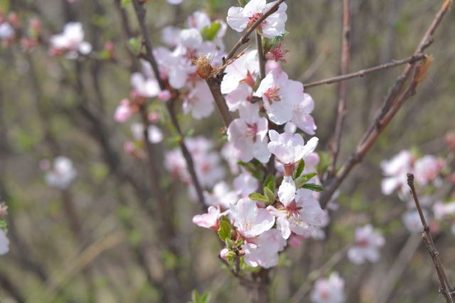 기반산