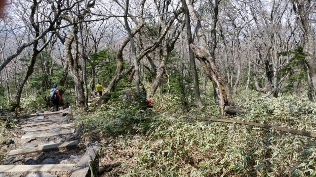 한라산 국립공원