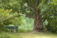 海柏公园-多伦多-doris圈圈