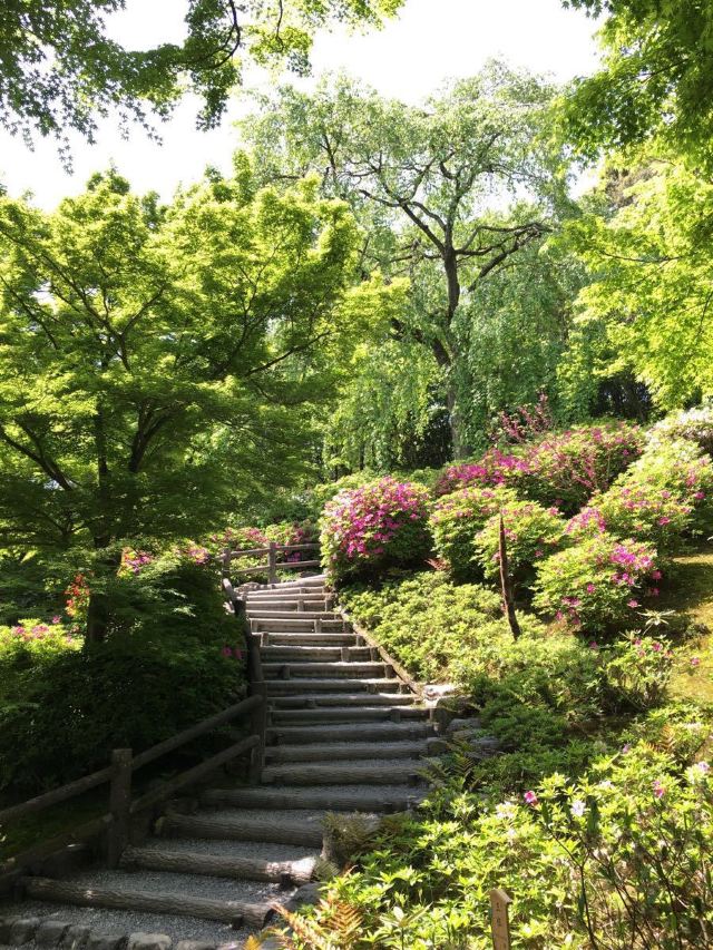 嵐山