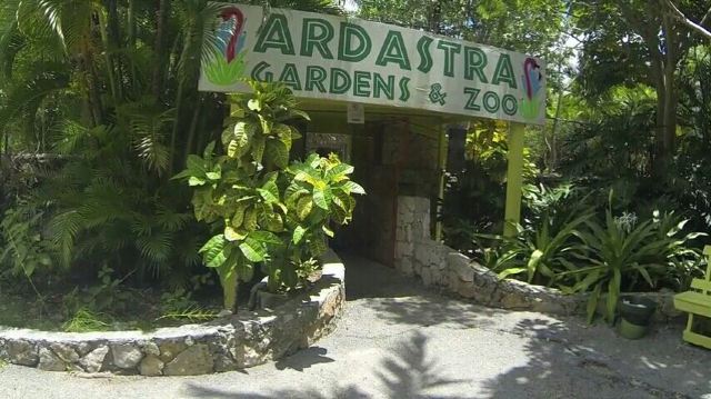 Ardastra Gardens, Zoo and Conservation Center