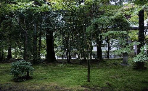Nishimura House Garden
