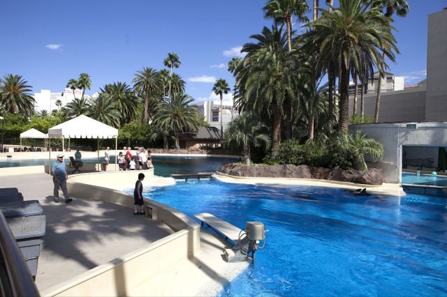 Siegfried & Roy's Secret Garden & Dolphin Habitat