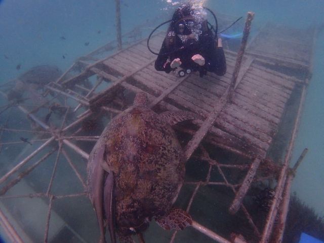馬布島