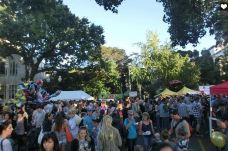 非凡市集-皇后镇-海豚旦