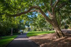 悉尼皇家植物园-悉尼-doris圈圈