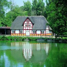 菲英村-欧登塞-doris圈圈