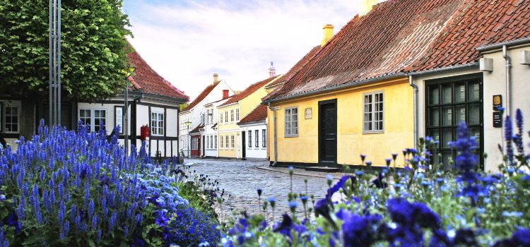 Odense travel guides 2020– Odense attractions map – Syddanmark ...