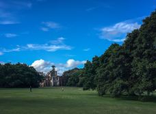 悉尼皇家植物园-悉尼-doris圈圈