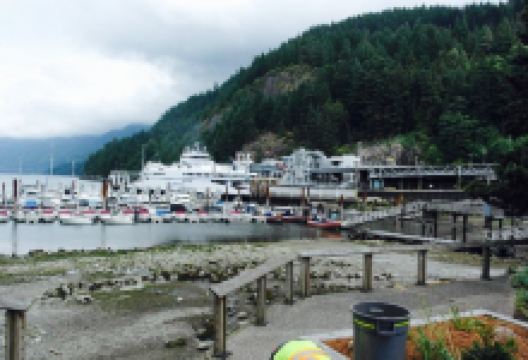 Troll's Restaurant美食图片