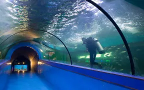 3-Day Dongguan Tour: Blend of History and Modernity, From Ancient Villages to Sea World