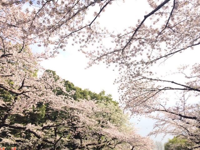 Ueno Park