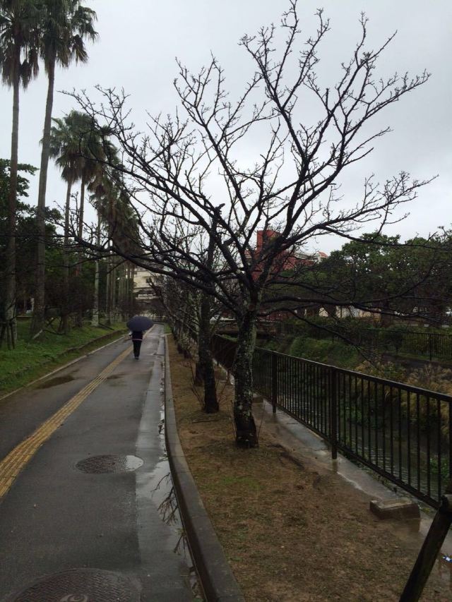 요기 공원