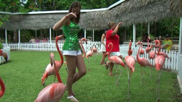 Ardastra Gardens, Zoo and Conservation Center